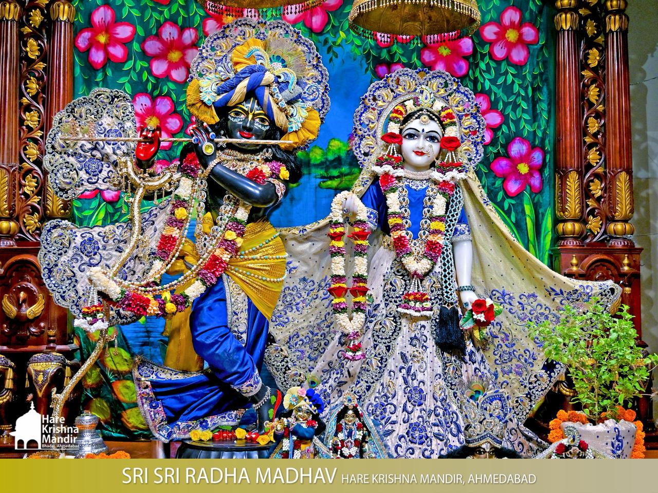 2026-06-16 Darshan
